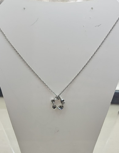 گردنی خارجی